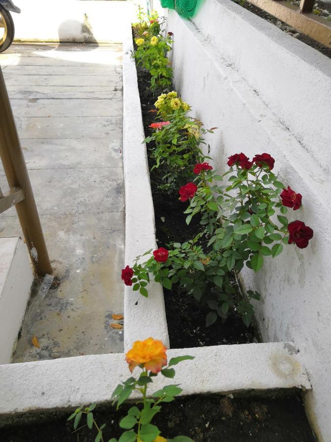 Jsw Inn Gelugor Buitenkant foto